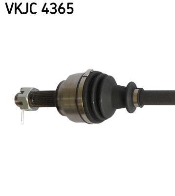 Cardan SKF VKJC 4365